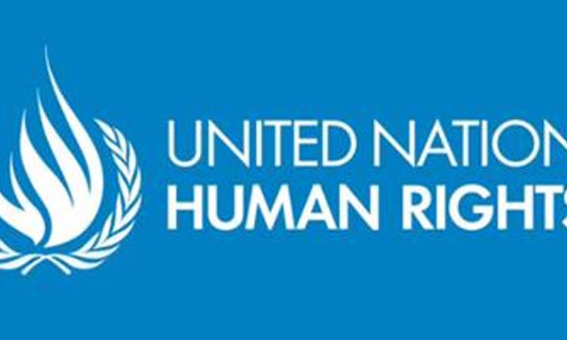 'United Nations Human Rights' logo
