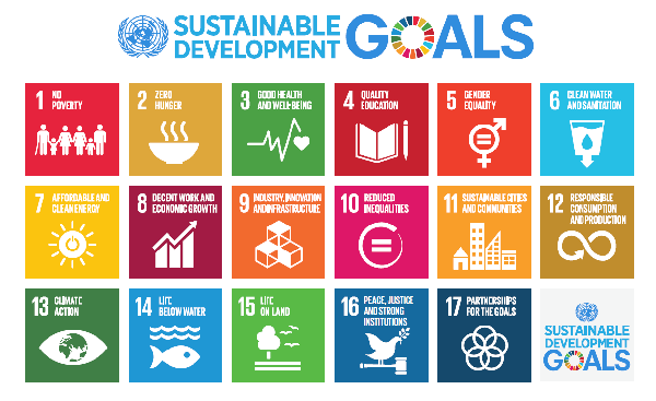 UN-Sustainable-development-goals-logo.png (1)