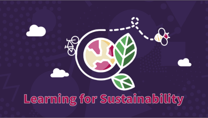 Screenshot 2020-11-19 at 12.42.50.png